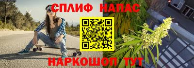 гашик Волгодонск