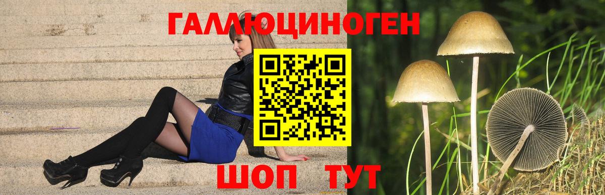 Галлюциногенные грибы мицелий  Вход с VPN  купить  цена  Заинск 