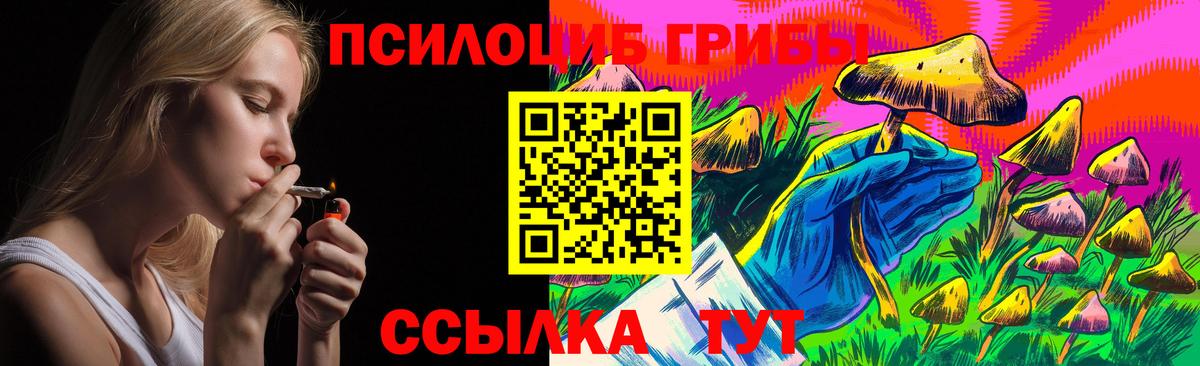 Галлюциногенные грибы мухоморы Заинск